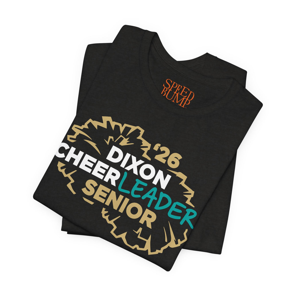 Dixon Cheer LEADER Senior '26