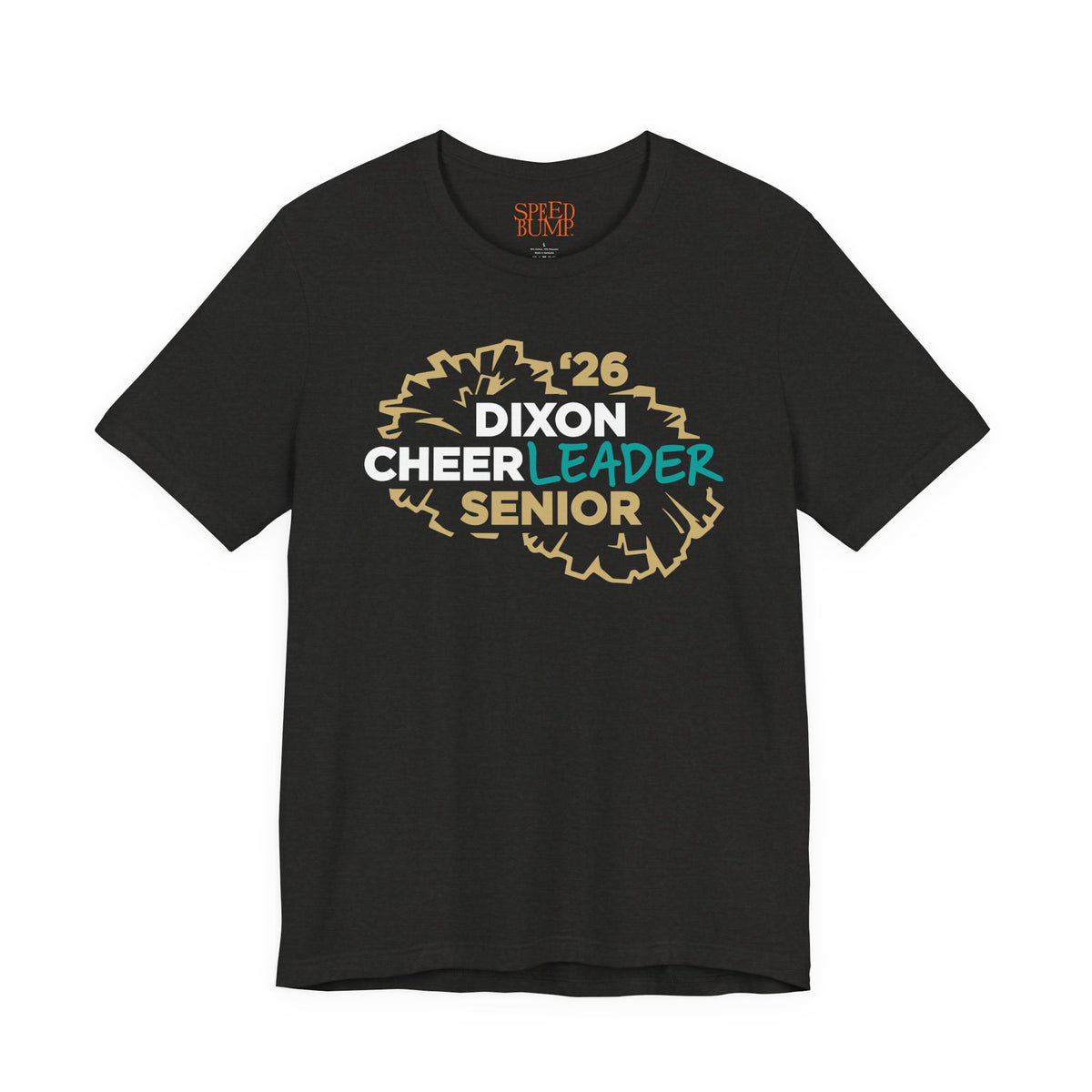 Dixon Cheer LEADER Senior '26